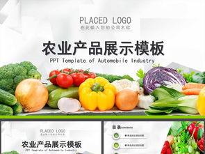 绿色生态农业水果蔬菜农产品线条简明绚丽多彩PPT模板下载 3.29MB 施工方案文本大全 建筑CAD图纸