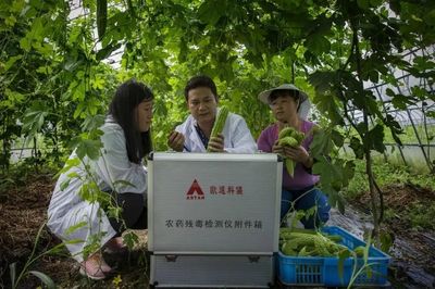 喜讯,鄞州获“省级农产品质量安全放心县”称号!